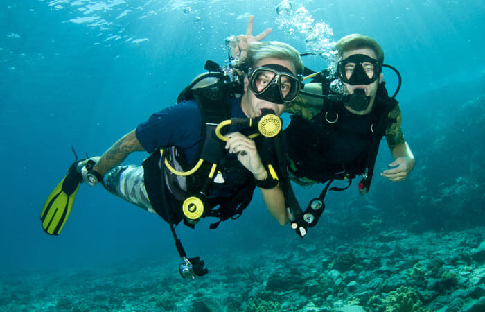 PADI Diving Courses and Sea adventures