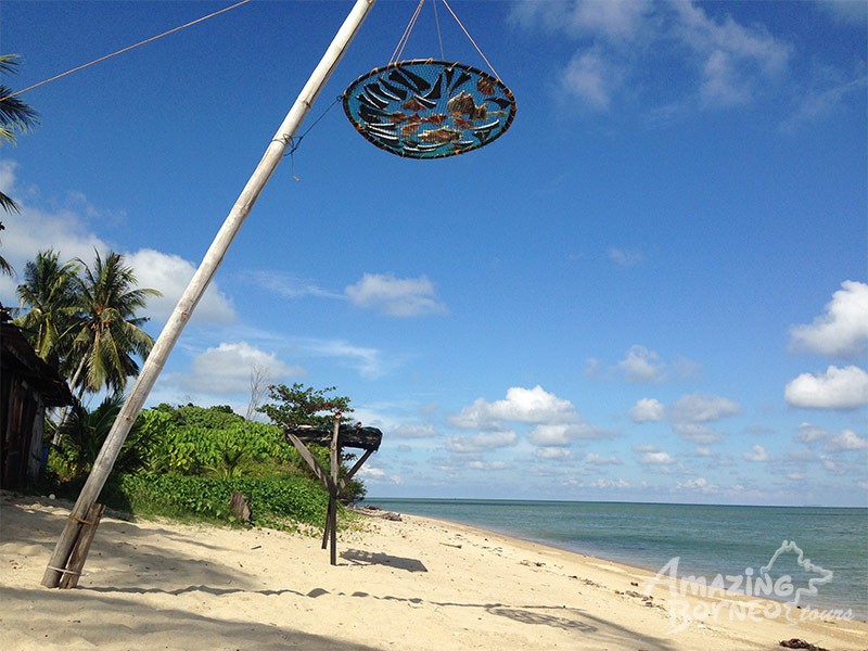 fish drying in the sun at fisherman village sabah