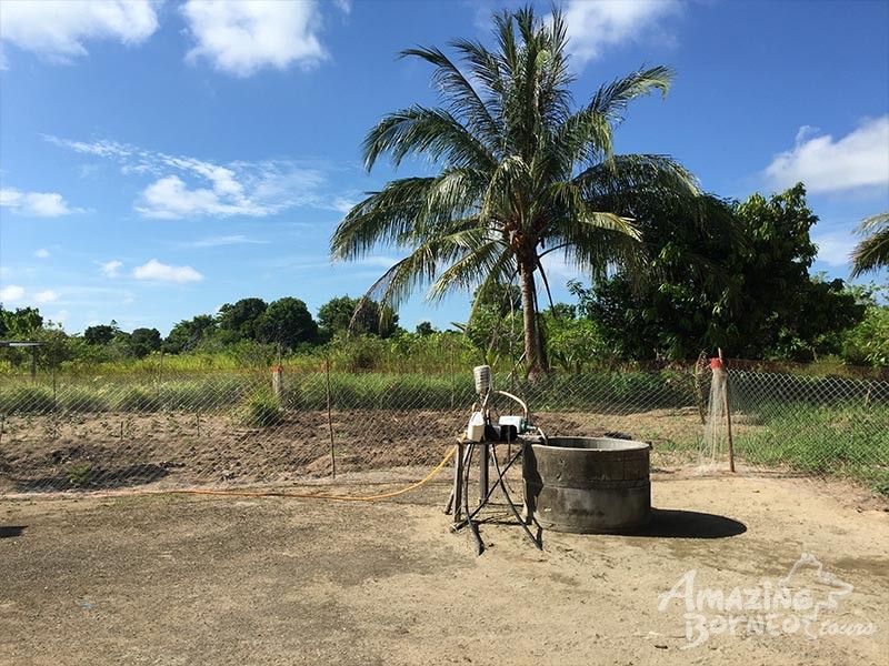 a well at fishing village, sabah