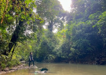 4D3N Danum Valley Field Centre - Nature Lover Experience (Budget)