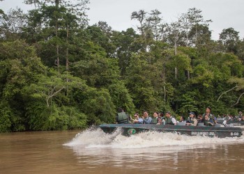 3D2N Sukau Rainforest Lodge - Kinabatangan River Cruises / Sepilok Orangutan & Sunbear Visit