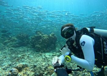 5D4N Semporna Islands Adventure: Sipadan, Mabul, Kapalai, Mataking & Timba-Timba (Diving)