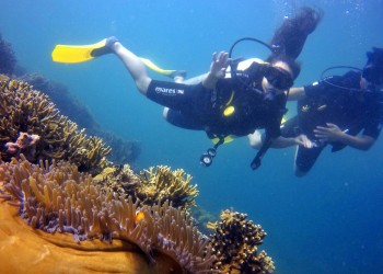 Scuba Diving Adventure (For Cert Diver)