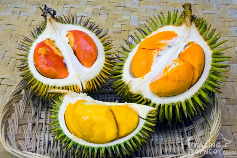 Myths And Facts About The Durian