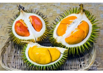 Myths And Facts About The Durian