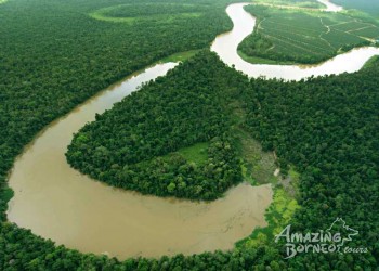 Places to Stay When Visiting the Kinabatangan Region of Borneo