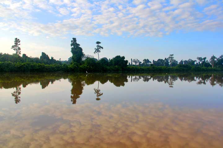 2박3일 ABAI KINABATANGAN WETLANDS RESORT (산다칸)