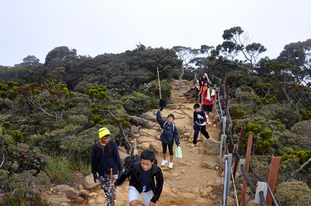 2박3일 키나발루산 등정