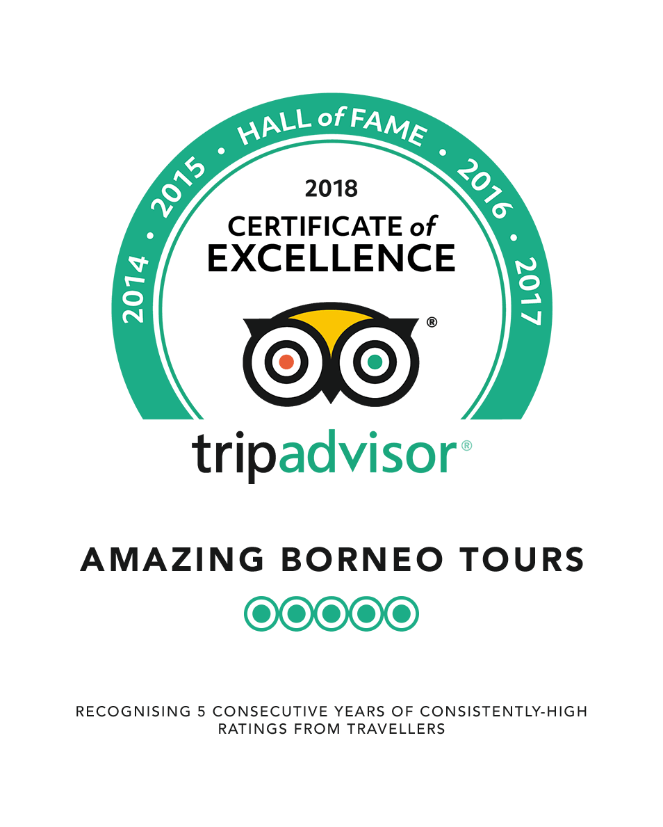 TripAdvisor Awards Certificate of Excellence Hall of Fame 2018