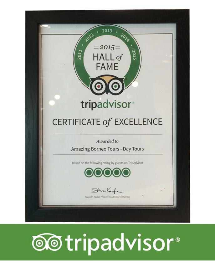 Tripadvisor Hall of Fame