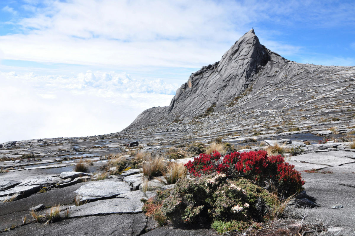 Mount Kinabalu - Sabah, Borneo