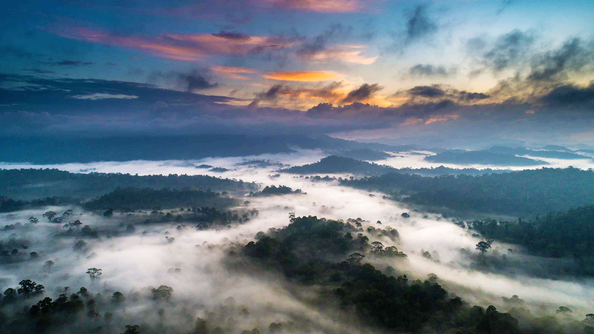 Danum Valley Sabah