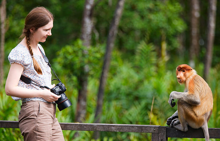 Discover Sabah Wildlife - Get up close with nature