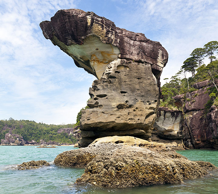 Bako National Park Sarawak