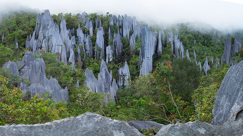 Mulu Pinnacles and Caves