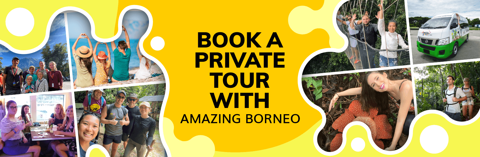 Amazing Borneo Custom Private Tours