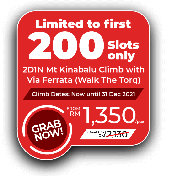 Amazing Borneo Tours The Leading Local Tour Agency In Sabah Malaysia L Hotel Resort Bookings Kota Kinabalu Mount Kinabalu Climb Sandakan Sepilok Sukau Wildlife Sipadan Diving Teambuilding Educational Eco Tourism Amazing