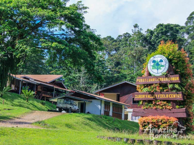 Danum Valley Field Centre, Lahad Datu