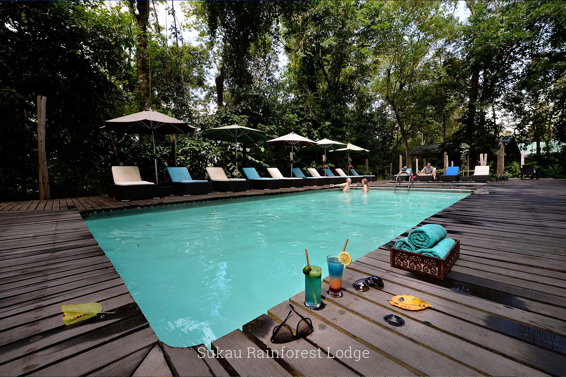 Eco Friendly Stays - Sukau Rainforest Lodge, Sandakan