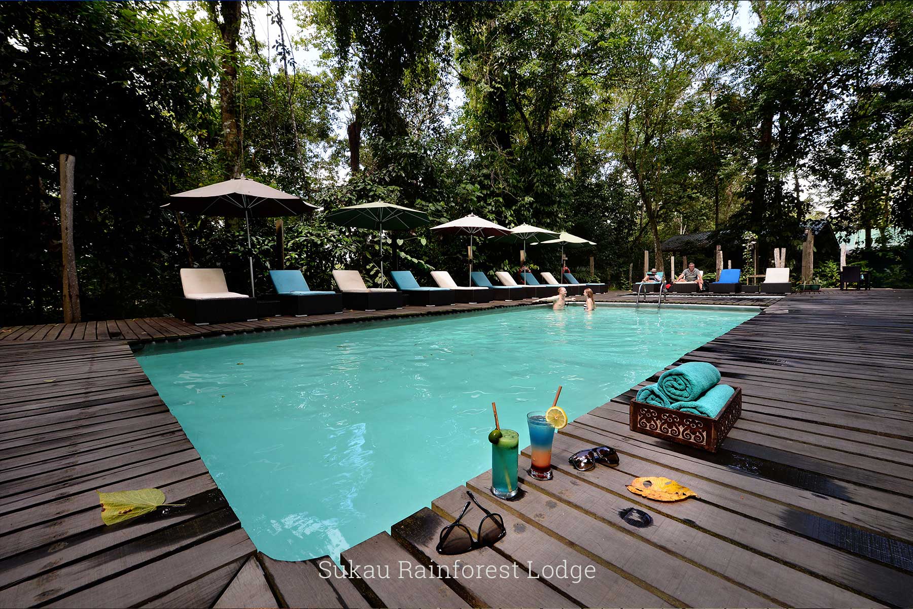 Sukau Rainforest Lodge, Sandakan