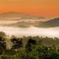 Danum Valley
