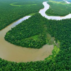 Kinabatangan River