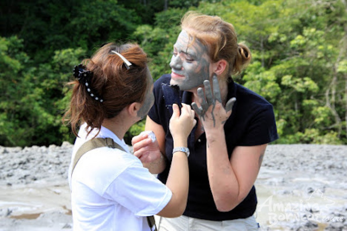 A Head-to-Head Comparison of Sabah's Top Wildlife Spots: Kinabatangan River vs Danum Valley vs Tabin Wildlife Reserve