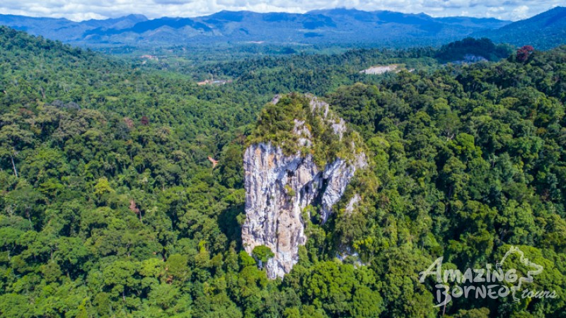 Batu Punggul is an impressive stand alone limestone rock rising out from the Jungle