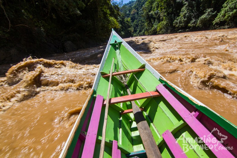 An intense boat ride along the rapids