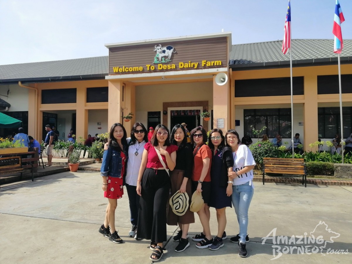 FAMILY PACKAGE A - 4D3N KOTA KINABALU EXPLORER & NORTH BORNEO CRUISES - Amazing Borneo Tours