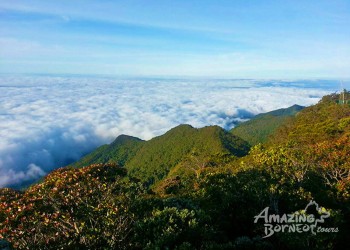 2D1N Mount Trus Madi Climb