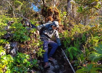 4D3N Mount Trus Madi Climb