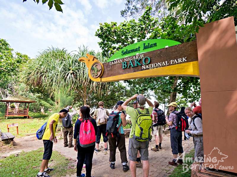 Bako National Park Tour - Amazing Borneo Tours