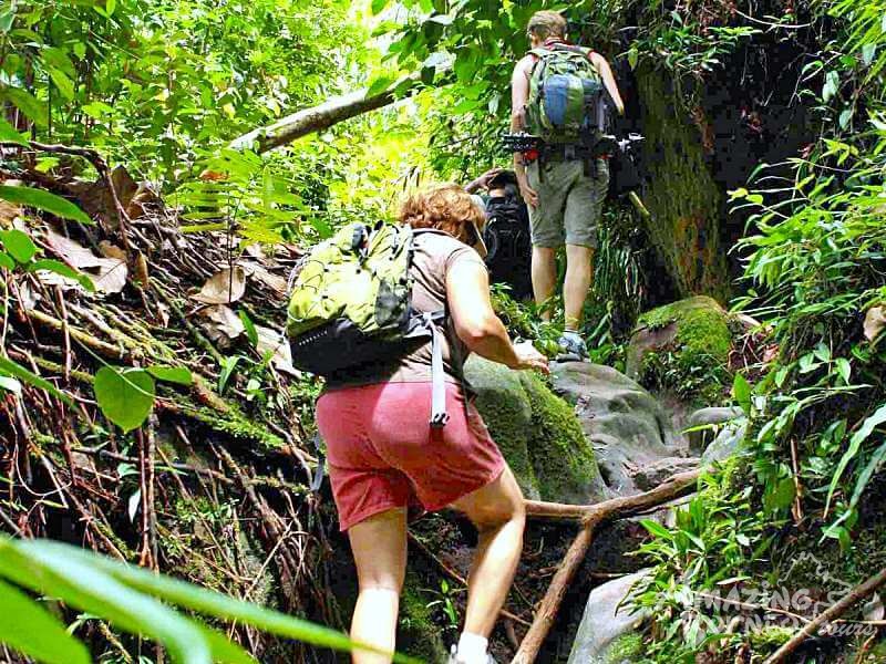 Bako National Park Tour - Amazing Borneo Tours