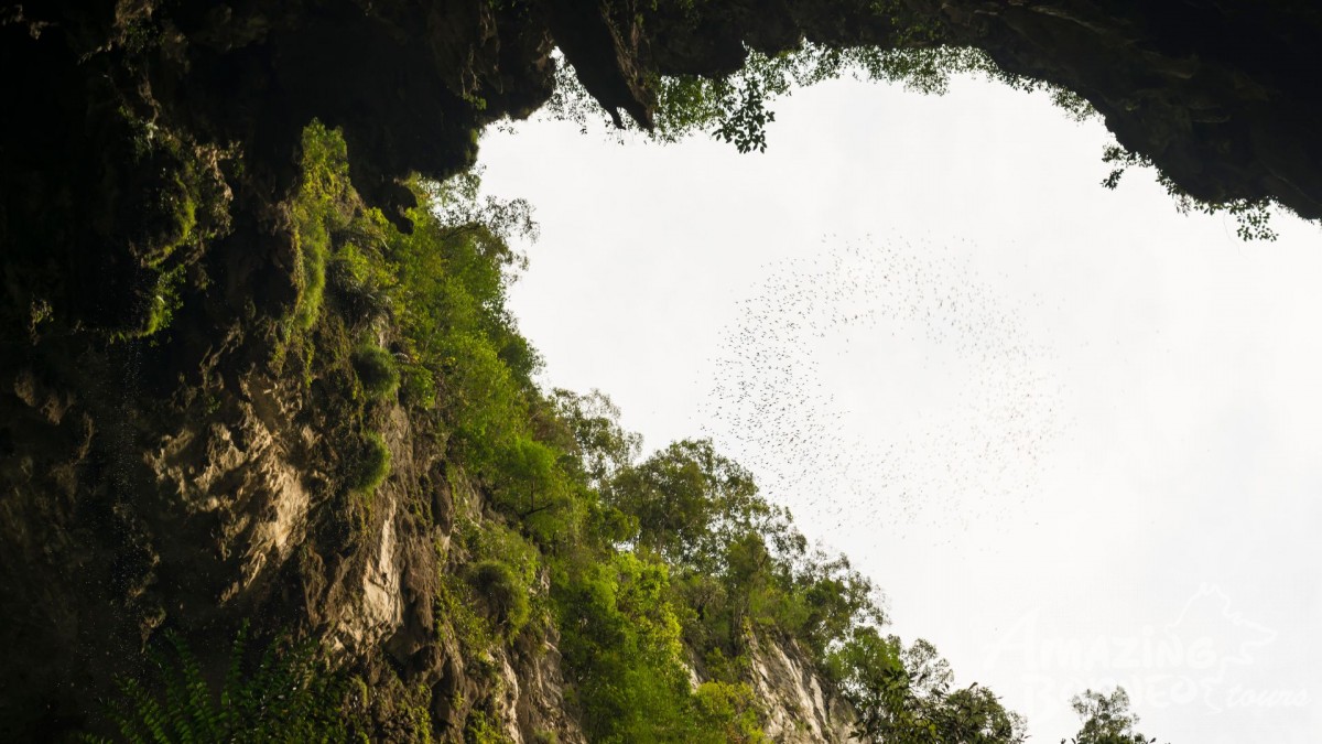 3D2N Mulu Show Caves & Park HQ Stay - Amazing Borneo Tours