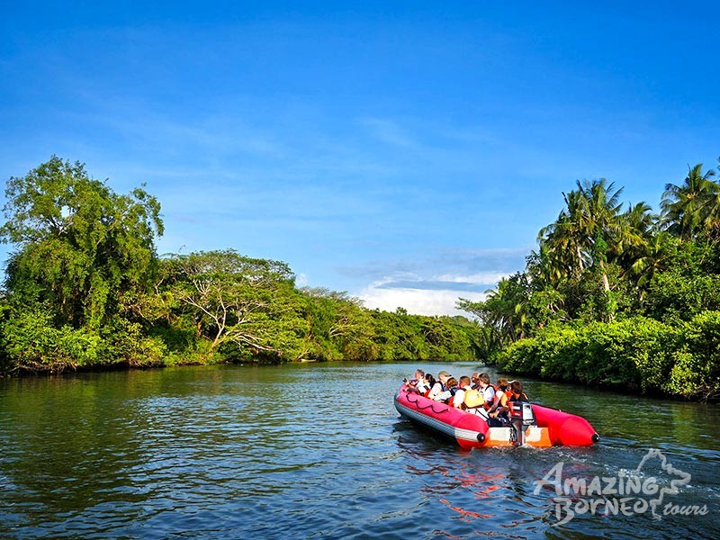Kawa Kawa River Cruise - Wildlife & Fireflies - Amazing Borneo Tours