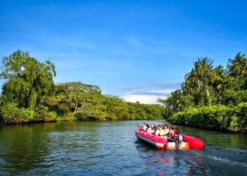 Kawa Kawa River Cruise - Wildlife & Fireflies