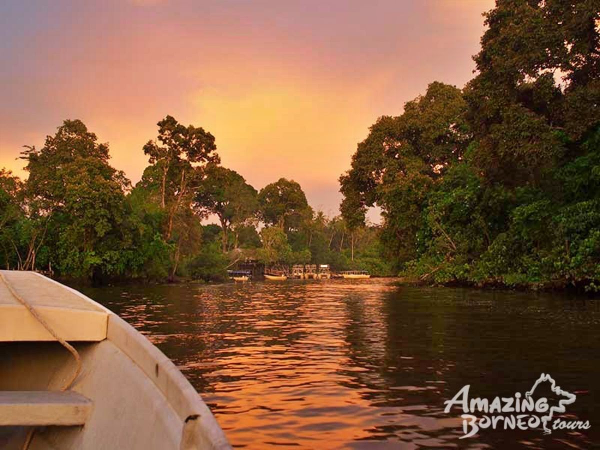 Klias Wildlife Safari River Cruise - Proboscis Monkey & Fireflies - Amazing Borneo Tours