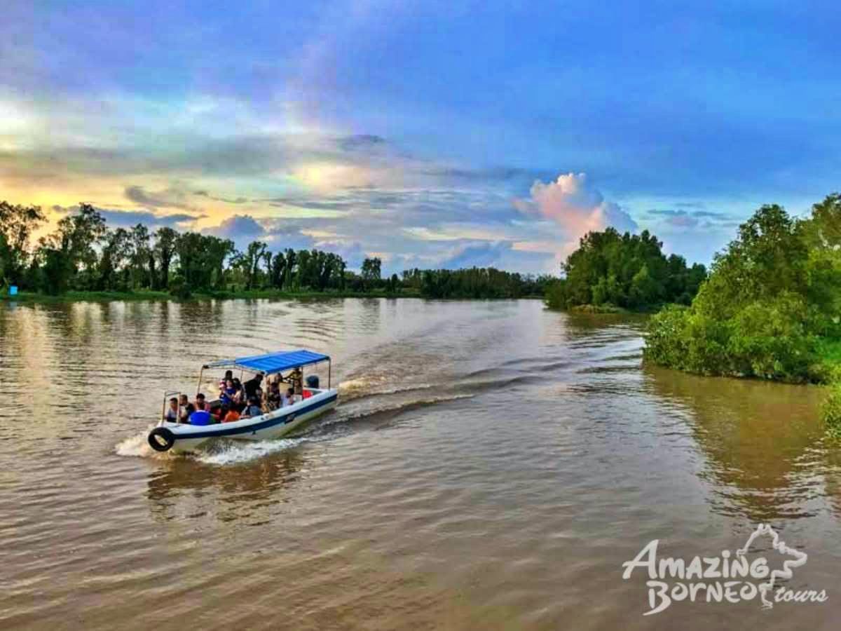 Klias Wildlife Safari River Cruise - Proboscis Monkey & Fireflies