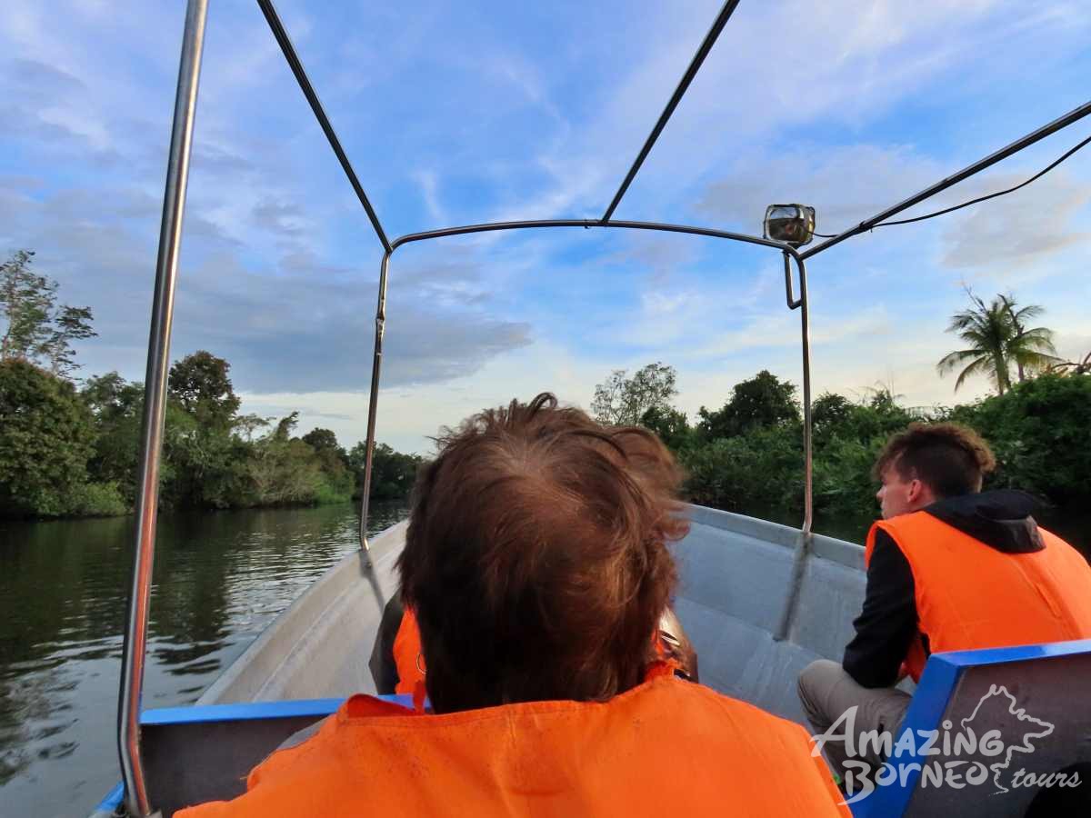 Klias Wildlife Safari River Cruise - Proboscis Monkey & Fireflies - Amazing Borneo Tours