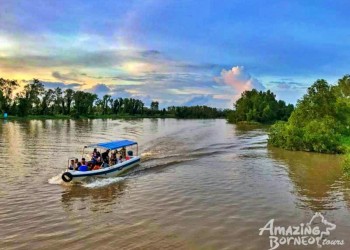 Klias Wildlife Safari River Cruise - Proboscis Monkey & Fireflies