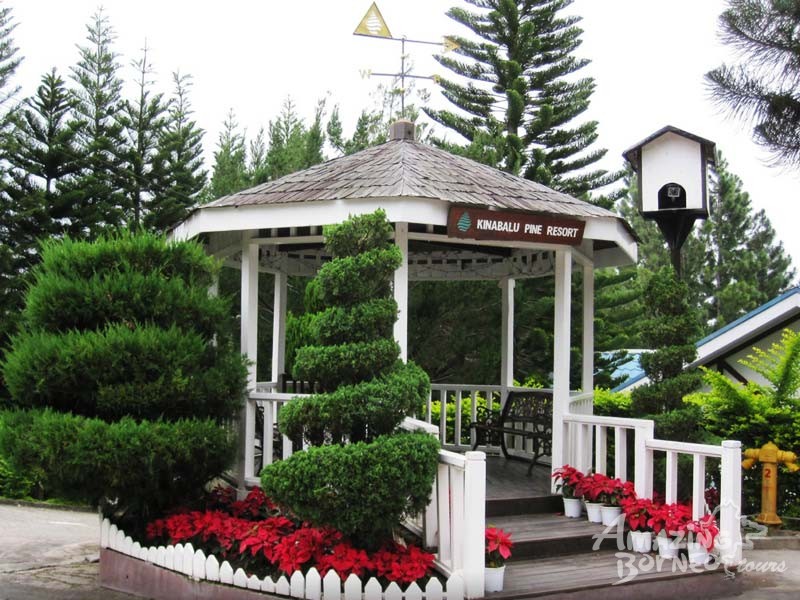 Kinabalu Pine Resort - Amazing Borneo Tours
