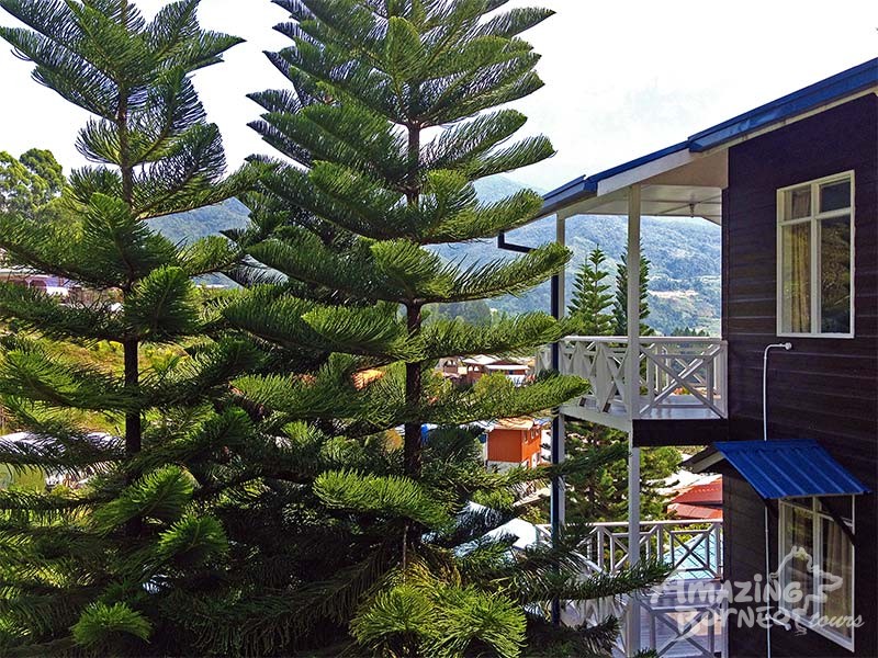 Kinabalu Pine Resort - Amazing Borneo Tours