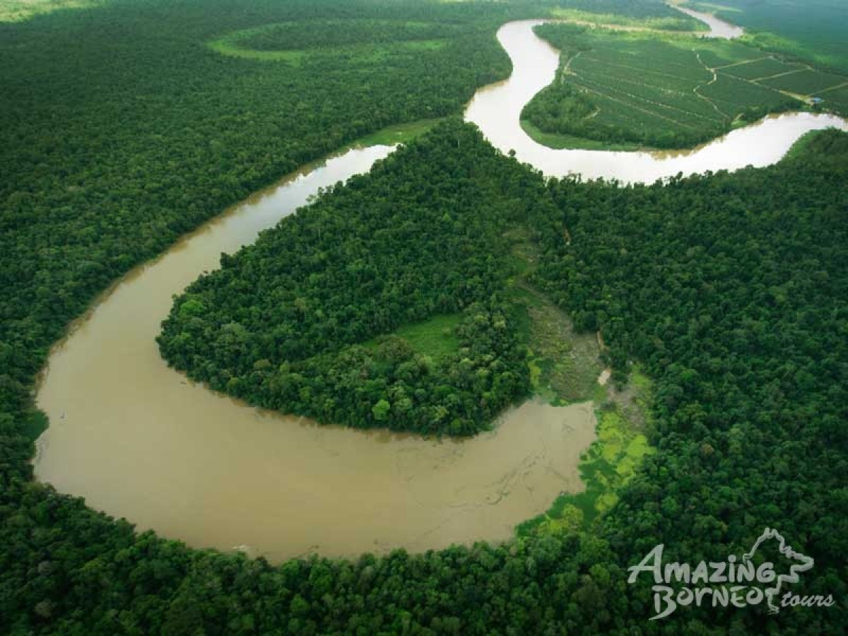 A Journey Through Sabah - 10 Days - Amazing Borneo Tours