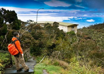 Mount Kinabalu Laban Rata (1 Day Non-summit Hike)