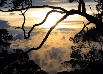 2D1N Mount Kinabalu Climb (Non-Summit)