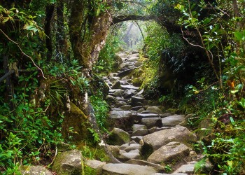 2D1N Mount Kinabalu Climb - Budget (Non-Summit)- Malaysian Only