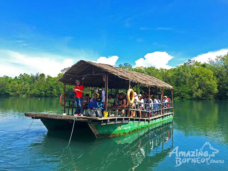 Borneo KellyBays Paradise (Mangrove & Sea) - Amazing Borneo Tours