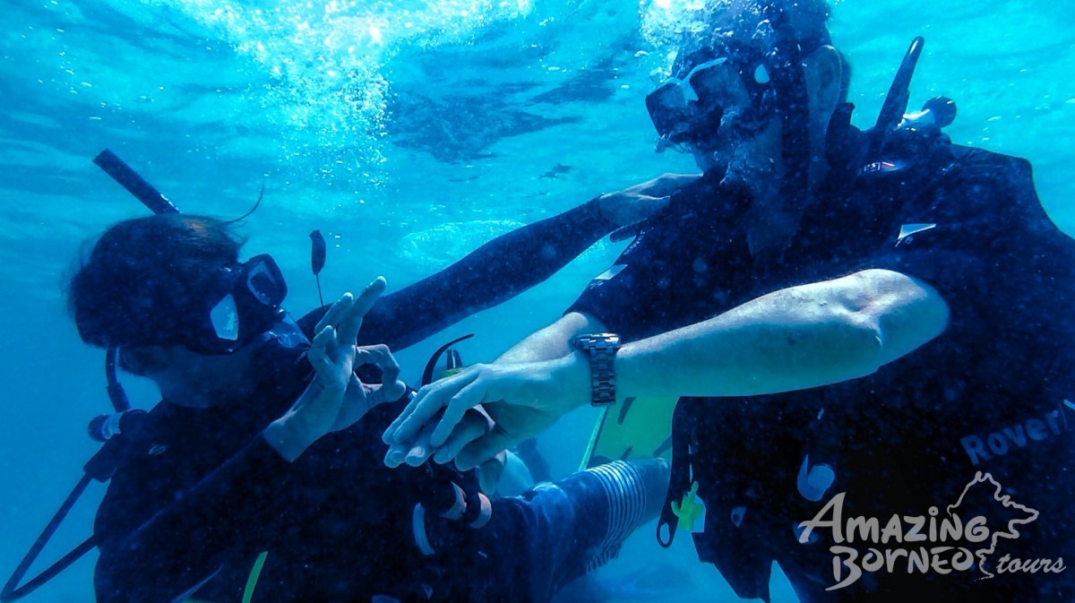 PADI Open Water Diving Course - Amazing Borneo Tours