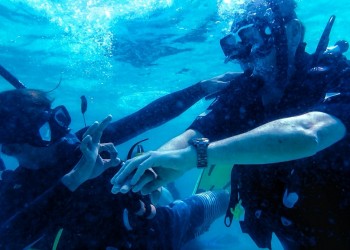 PADI Open Water Diving Course